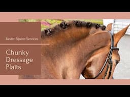 CHUNKY DRESSAGE PLAITS | perfect for longer, thicker manes