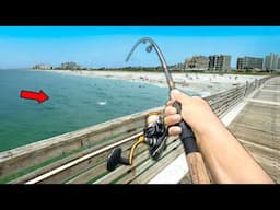 Florida PIER Fishing! Eating Whatever I Catch.. (Catch and Cook)