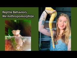 Reptile Behaviors We Anthropomorphize