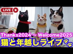 2024ｰ12−31 保護猫たちの「年越し猫ライブ」ハッチ＆マック＋黒猫めめ＋がんサバイバーママ Cat live Stream in Japan -Cat Life TV