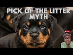 PICK OF THE LITTER MYTH