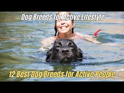 ✅ 12 Best Dog Breeds for Active People 🏆 How to Find The Right Dog Breed for You 😍 🐕