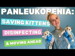 Saving Panleukopenia Kittens (Recovery, Disinfection & Fostering After!)