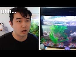 is my filter too strong? | Fish Tank Review 286