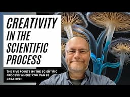 Creativity in the scientific process: the 5 points where you can be creative. #phd #creativity