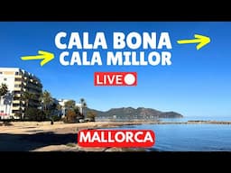 🔴 LIVE in Cala Bona & Cala Millor, Mallorca (Majorca)  | 26 January 2025