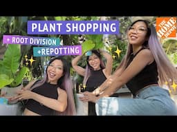 PLANT SHOPPING + REPOTTING  🌱 HOME DEPOT BIG BOX STORE houseplants for sale in Southern California