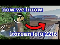 New Details EMERGE - Jeju 2216 Initial Report