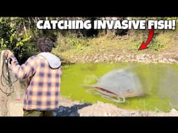 I Found INVASIVE FISH Deep In The EVERGLADES!