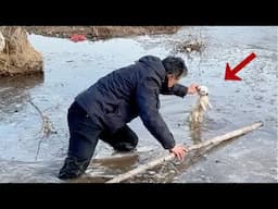 Falling into the icy lake at -12°C, the puppy tried to swim and called for help in desperation