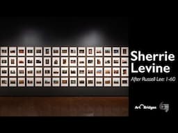 Sherrie Levine, After Russell Lee: 1-60