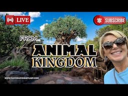 Disney’s Animal Kingdom- rides, shows, animal 🐅  1/30/25 #live