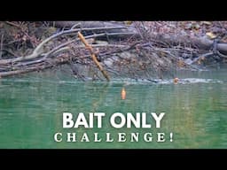 WINTER STEELHEAD BOBBER DOWN CHALLENGE - (Bait Only!)