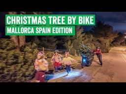 Christmas Tree Bike vs 17% Hill