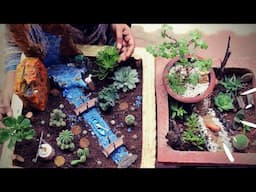 Succulent Arrangement Ideas  | Succulent Fairy Garden |  DIY Garden Project