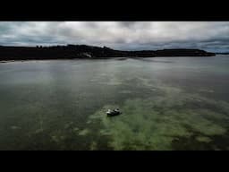 This Place Is So Special! | Kingfish Sharks & Snapper | Fishing NZ