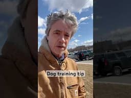 Dog training tip