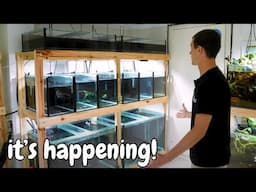 Creating the Perfect Fish Room | Expansion Project Revealed