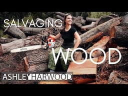 Woodturning: Salvaging Wood for bowls