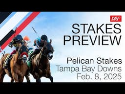 Pelican Stakes Preview | February 8, 2025