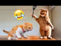 Funniest Animals - New Funny Cats and Dogs Videos 2024