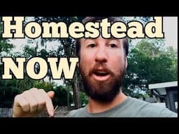 How to Become a Real Homesteader