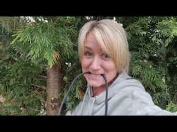 I TRY TREE SURGERY & MORE DECLUTTERING! #vlog