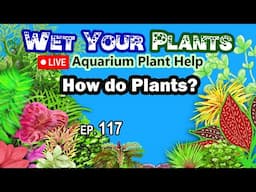 Planted tank problems? Tell us! (Wet Your Plants 117)