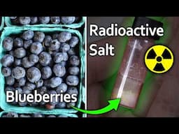 Extracting Radioactive Salt from Chernobyl Blueberries