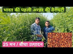 भारत की पहली लाल अरहर की वैरायटी Red Pigeon Pea Farming - Agritech Guruji