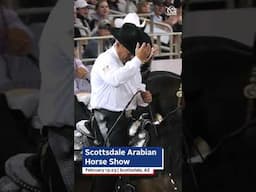 2025 Scottsdale Arabian Horse Show #horse #usequestrian #arabianhorses