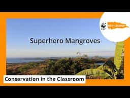 Superhero Mangroves