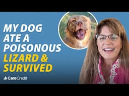 My Dog Ate a Poisonous Lizard and Survived | CareCredit Cardholder Testimonial