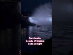 Spectacular Views of Niagara Falls @ Night