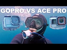 Insta360 Ace Pro vs GoPro for scuba divers - VIDEOGRAPHY