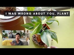 4 Way-Too-Expensive Plants I Changed My Mind About | Rare Houseplants