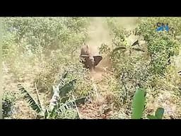 Near Death Experience - Elephant Attack in Muliuntune, Mutuati-Meru