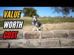 What is the Value  of Your Pup, Your Kennel, and Your LIFE!!!