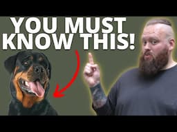 3 THINGS TO KNOW BEFORE GETTING A ROTTWEILER