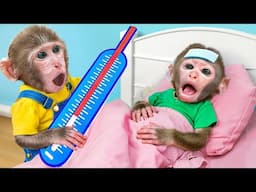 KiKi Monkey want to be Good Doctor to Take Care of Sick Brother | KUDO ANIMAL KIKI