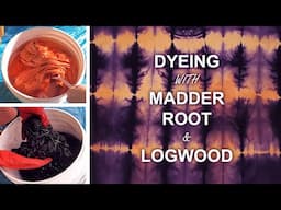 Dyeing with Madder Root and Logwood