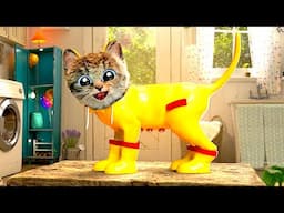 MY CUTE LITTLE KITTEN ADVENTURE 😸 BEST EDUCATIONAL VIDEO FOR PRESCHOOLERS WITH FUNNY CATS 😸