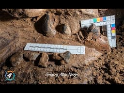 JAWS - Discoveries in South Garo Hills |Meghalaya| Northeast India