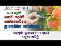 ප්‍රයෝගික පරීක්ෂණ - Biosystems Technology (BST) (A/L ) (ජෛව පද්ධති තාක්ෂණවේදය) 12 - 13 ශ්‍රේණිය