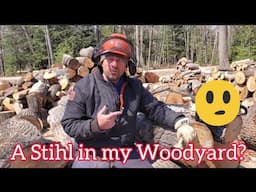 There's a Stihl in my Woodyard and here's why....