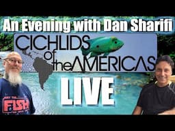 LIVE with Dan Sharifi: Cichlids of the Americas