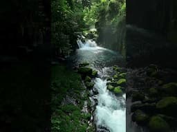 RELAXING WATERFALL and BIRDS SOUNDS FOR SLEEP