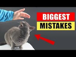 20 common mistakes that WILL RUIN your bond with your cat