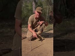 Solar Navigation: (Shadow Stick - Short Method) - Bushcraft Survival Australia