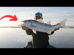 California Delta Winter Striped Bass Fishing